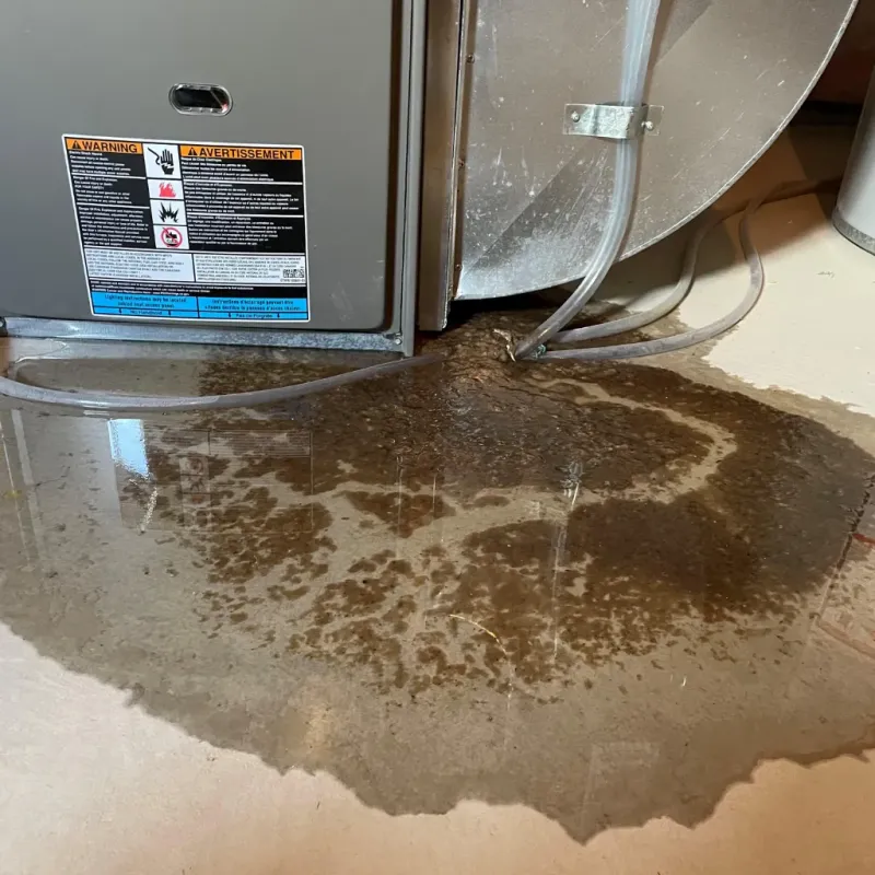 Appliance Leak Cleanup in Billings, MT